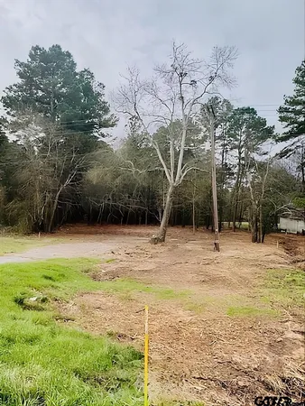 $1,000 | 1904 West Duval Street, Troup, TX 75789