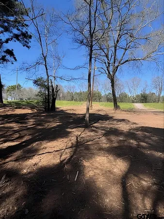 $1,000 | 1904 West Duval Street, Troup, TX 75789