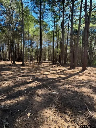 $1,000 | 1904 West Duval Street, Troup, TX 75789
