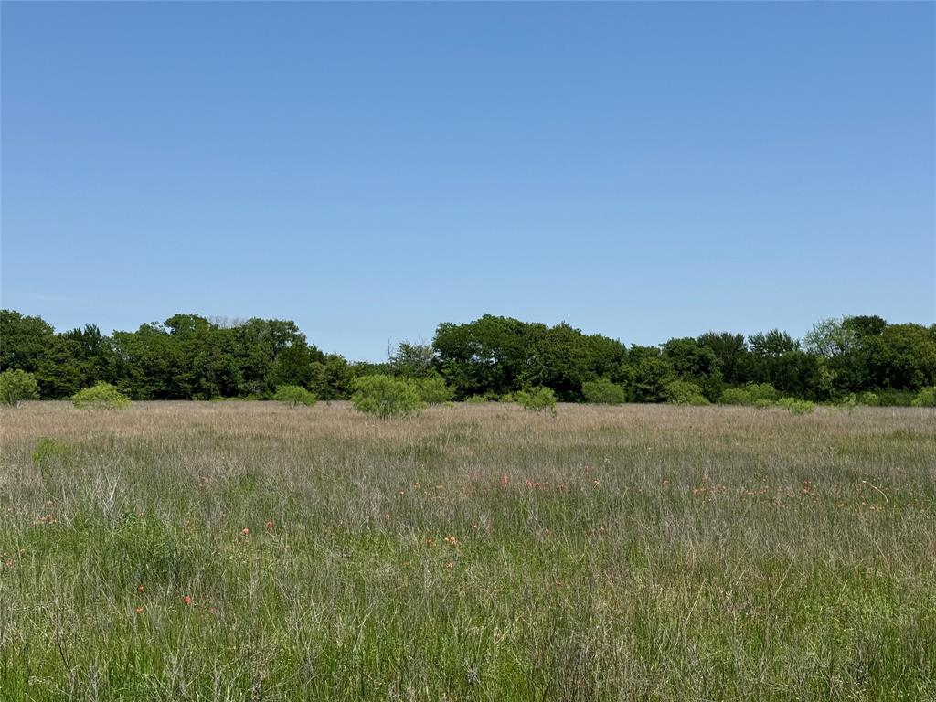 0 Clater Powell Road, Unit LOT 3 Waco, TX 76705 - Photo 3 of 7 a view of an outdoor space and a yard