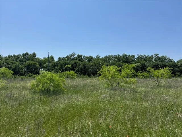 a view of a lush green outdoor space with a lake view and bushes