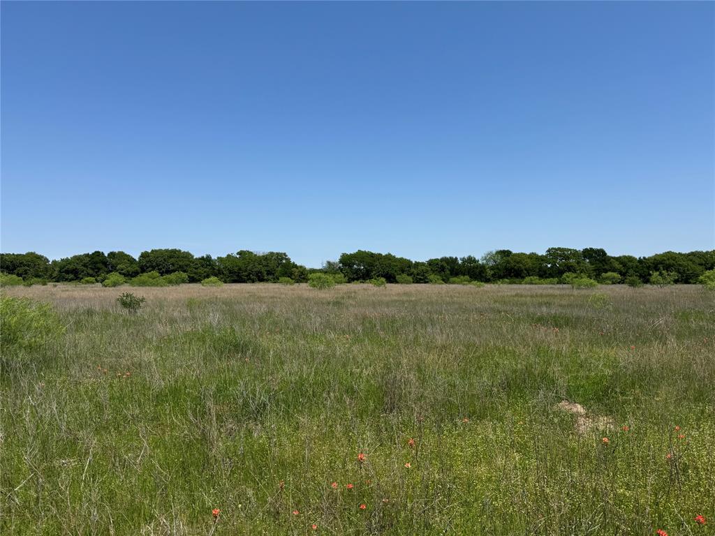 0 Clater Powell Road, Unit LOT 3 Waco, TX 76705 - Photo 7 of 7 a view of lake with green space
