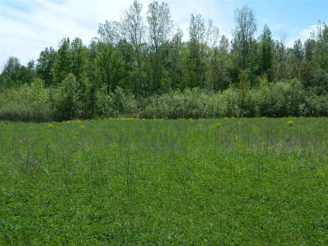 0 West Mt Forest Road Pinconning, MI 48650 - Photo 8 of 11
