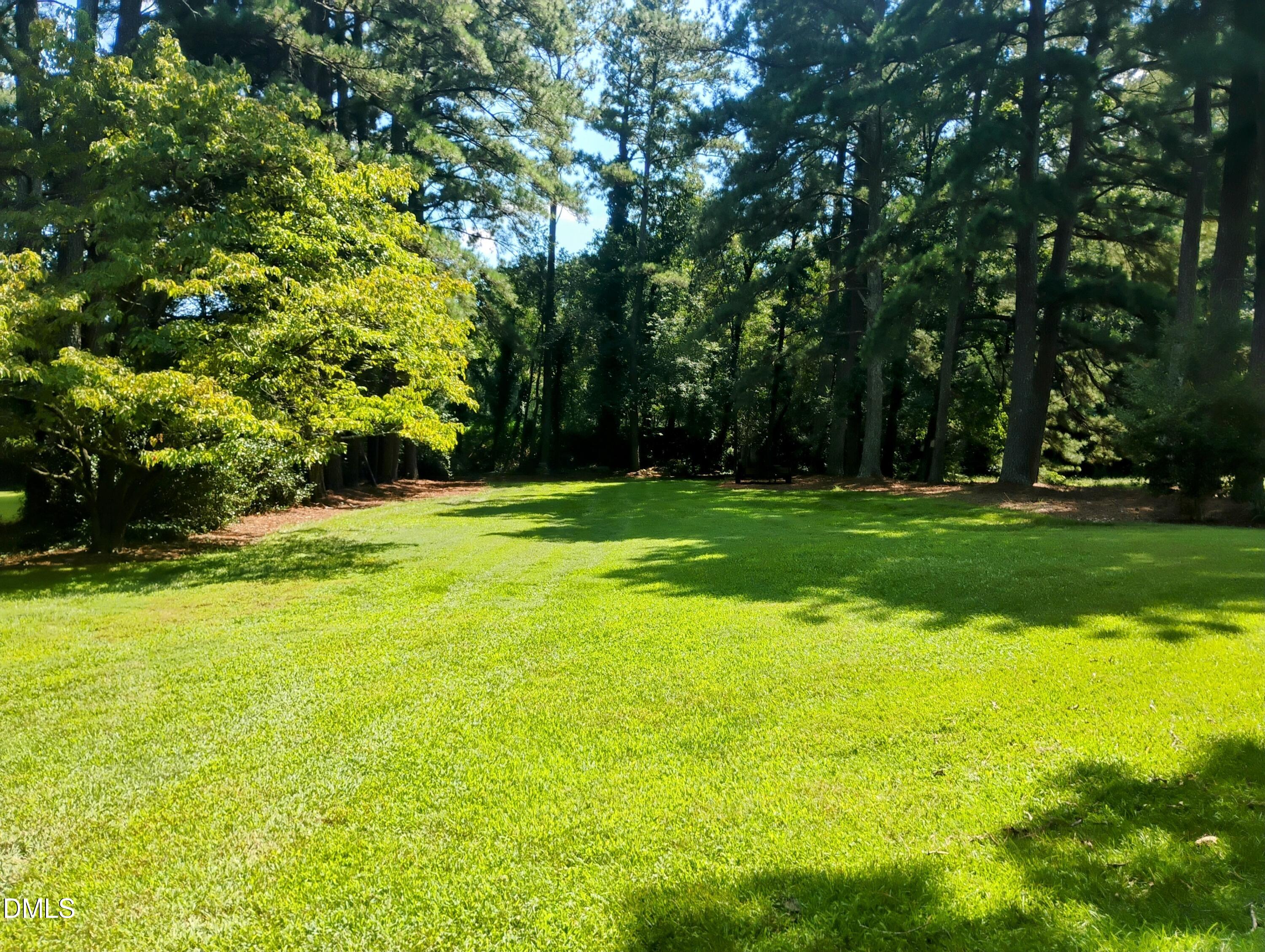6121 Yates Mill Pond Road Raleigh, NC 27606 - Photo 16 of 18 a view of a big yard with plants and large trees