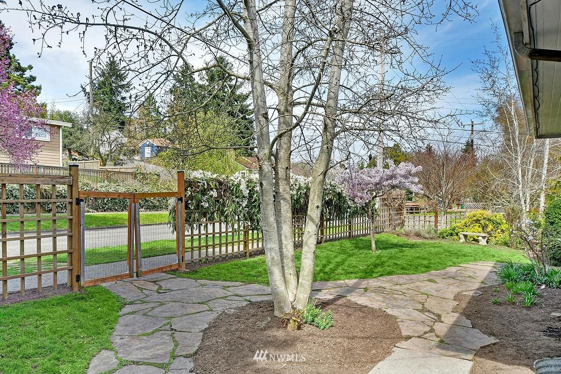 8202 37th Avenue Southwest Seattle, WA 98126 - Photo 24 of 27 a view of a park with large trees