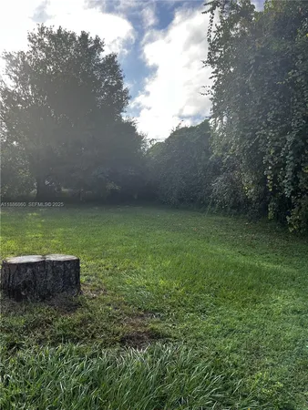 a view of a garden with a bench