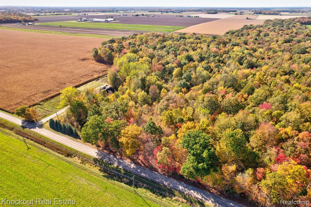 4000 South Reese Road Frankenmuth, MI 48734 - Photo 4 of 18