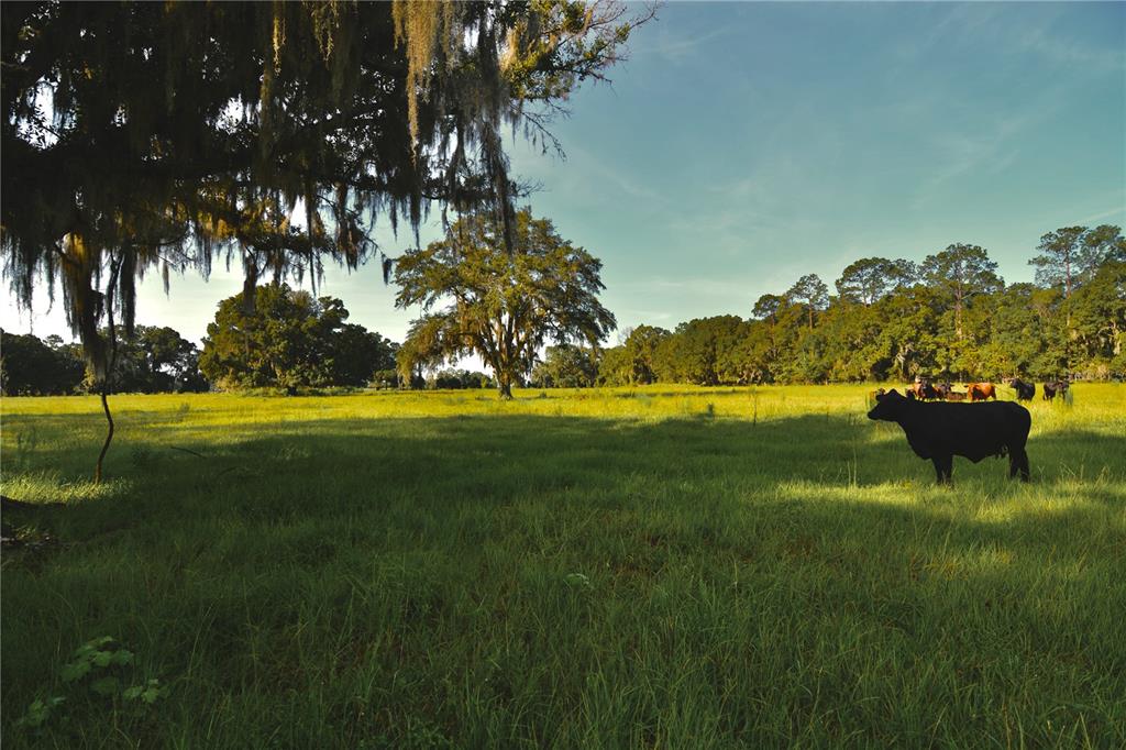 4802 Northwest 50th Road Starke, FL 32091 - Photo 18 of 75 Gallery Image 18