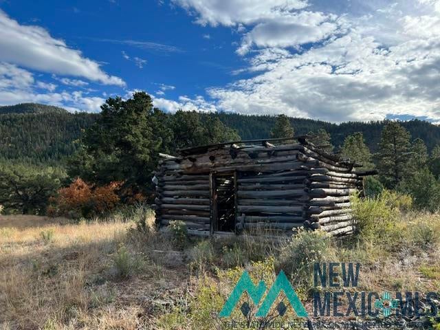 1 Forest Rd100 Road Canones, NM 87516 - Photo 3 of 39 Gallery Image 3