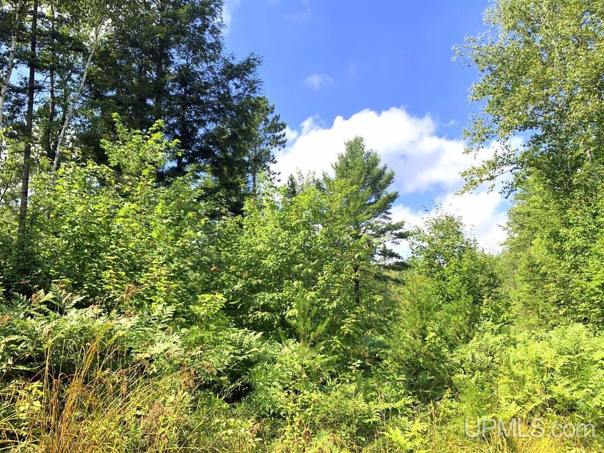 Tbd Tbd Co Road Negaunee, MI 49866 - Photo 20 of 24