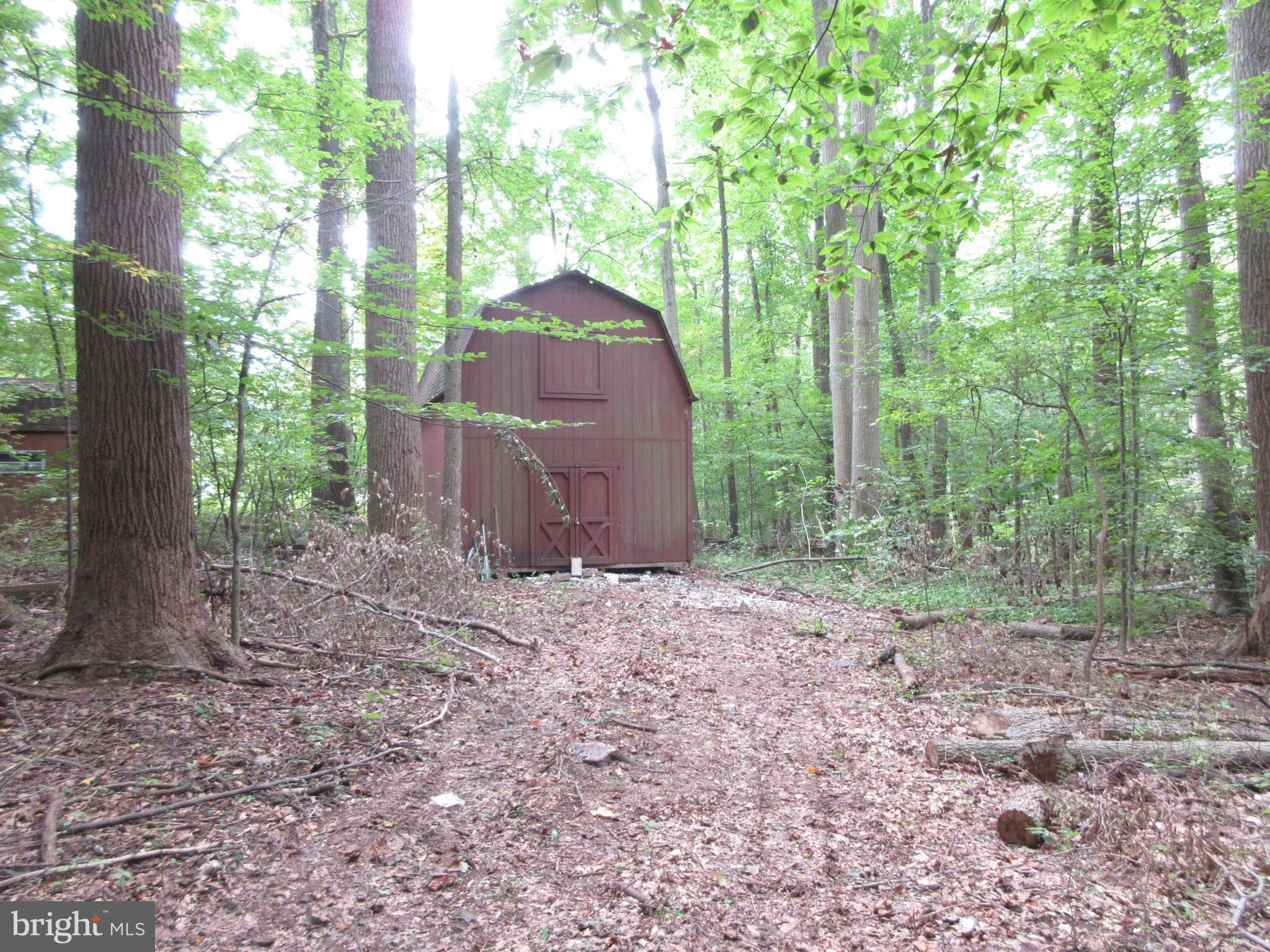 Exterior (General)