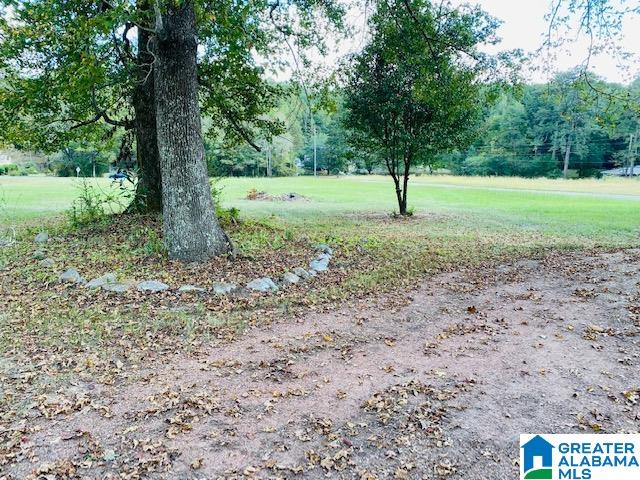 4513 Magnolia Road Dora, AL 35062 - Photo 17 of 19