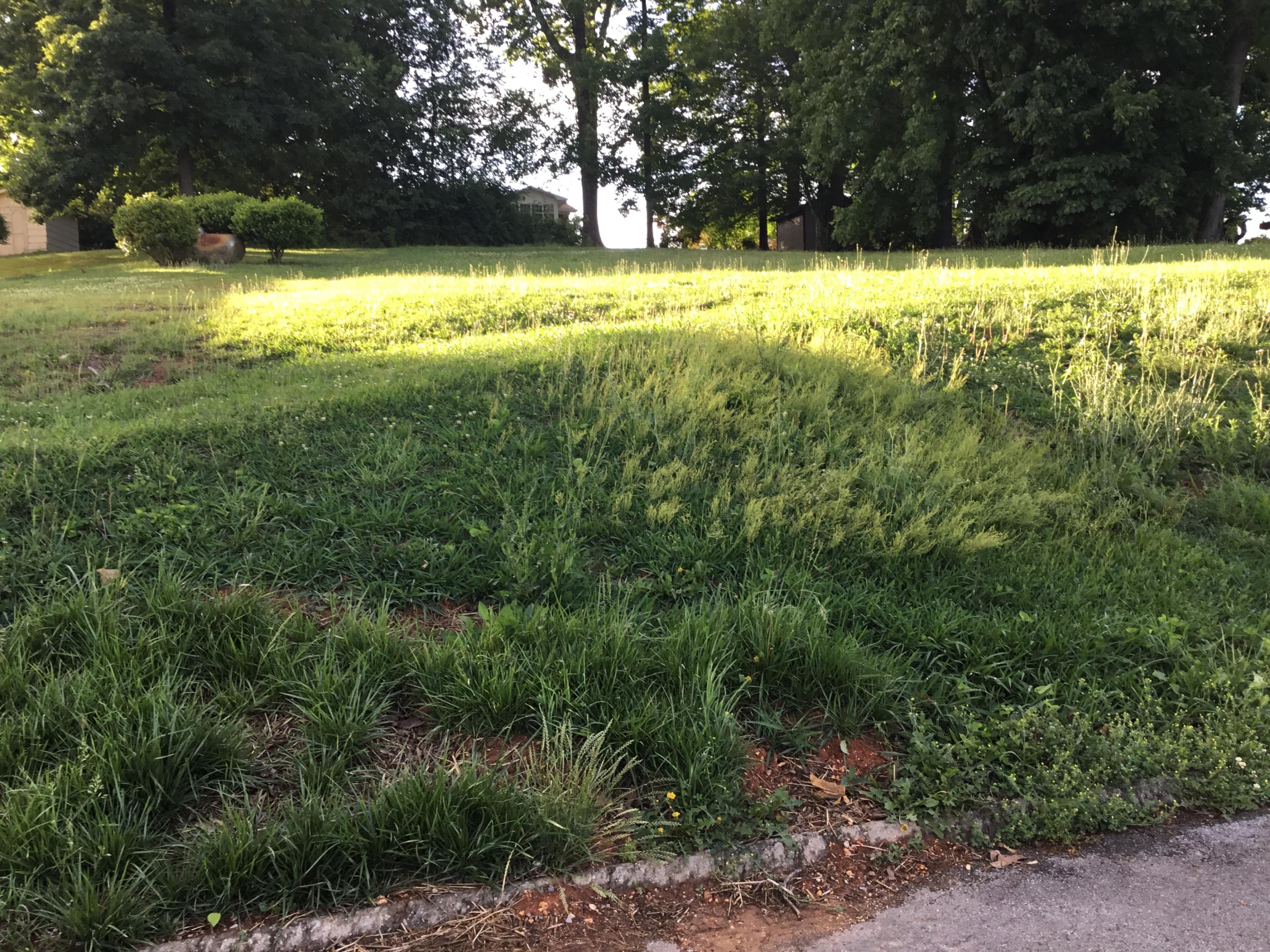 Bello Road Tazewell, TN 37879 - Photo 2 of 2 C8C51500-172C-4489-B876-770E62FC0AEE