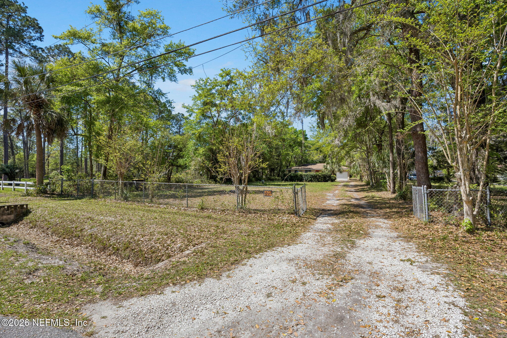 5136 Eulace Road Jacksonville, FL 32210 - Photo 40 of 41 a view of a yard with trees