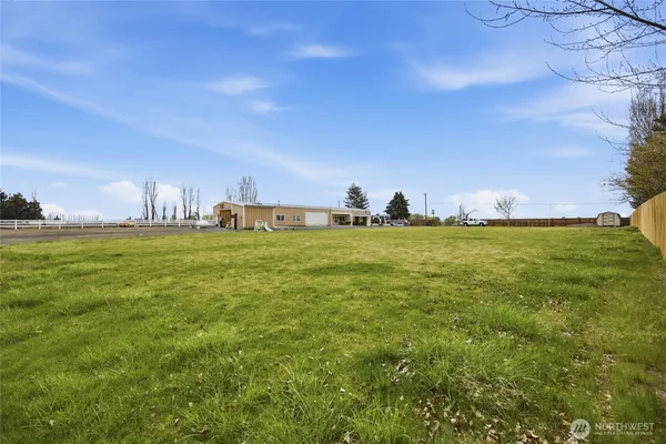 a view of a big yard with large trees