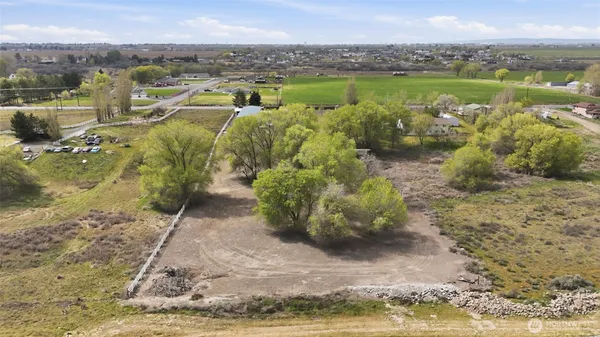 a view of a lake with large trees