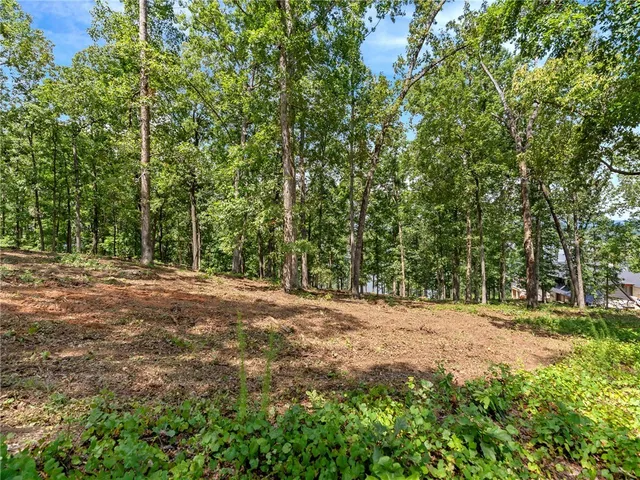 $795,000 | 535 Hvn Hl Lane, Six Mile, SC 29682