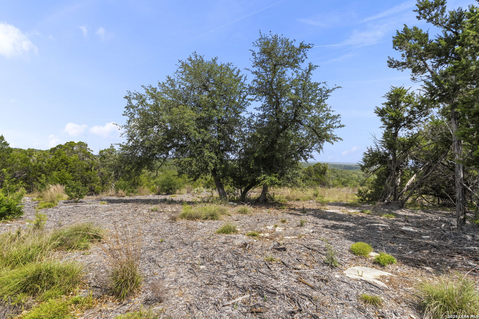 341 Mitchell Drive Spring Branch, TX 78070 - Photo 12 of 33