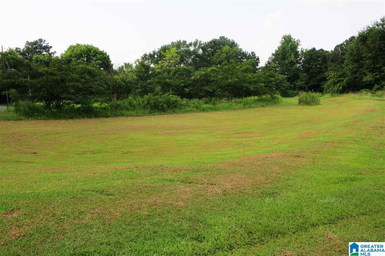 9320 Bankston Road Dora, AL 35062 - Photo 5 of 17