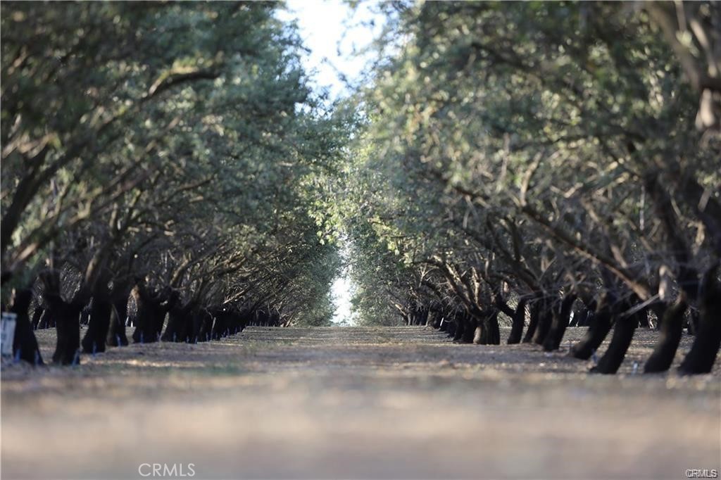 8 Silver Ridge Road Denair, CA 95316 - Photo 3 of 6 a view of road and trees