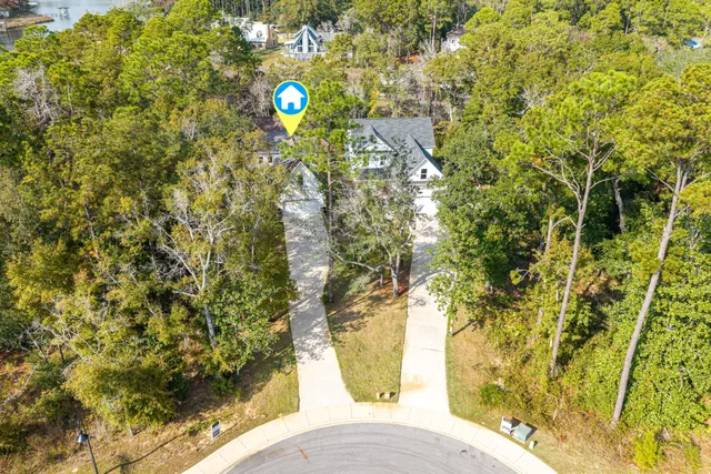 a view of a tree with a plant