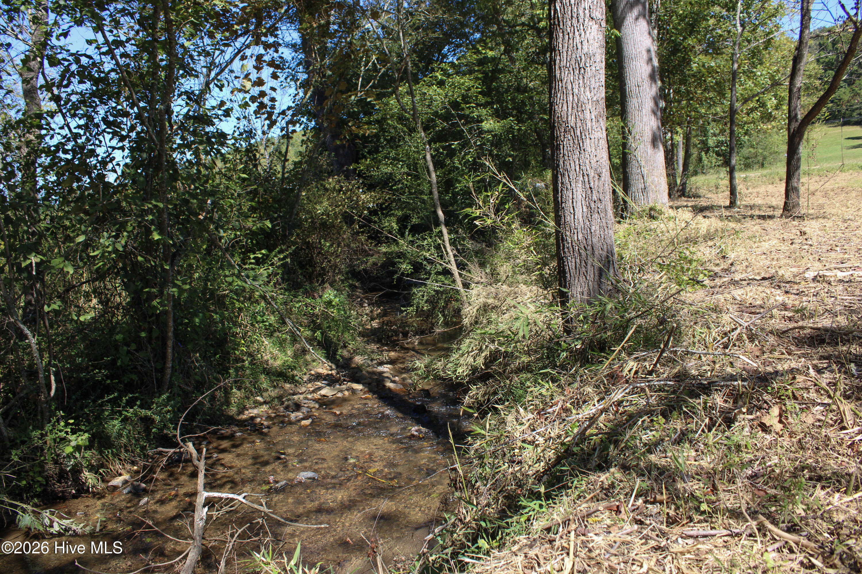 0 West Gum Log Road Warne, NC 28909 - Photo 24 of 26 IMG_6202