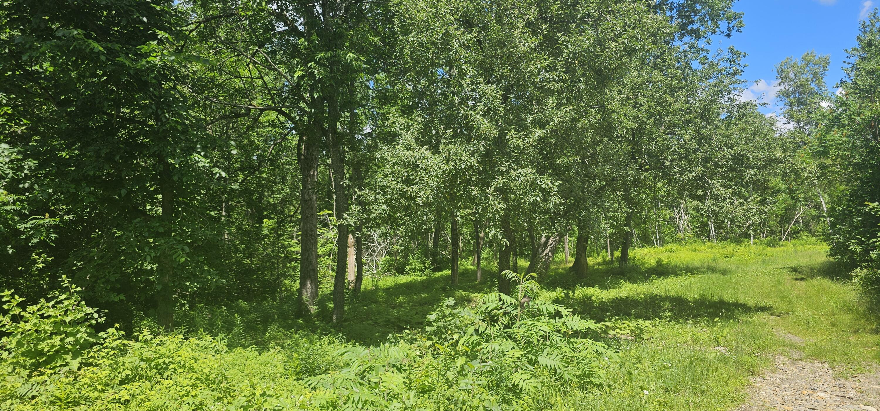 0 Golden Road Oakland, ME 04963 - Photo 1 of 1 land