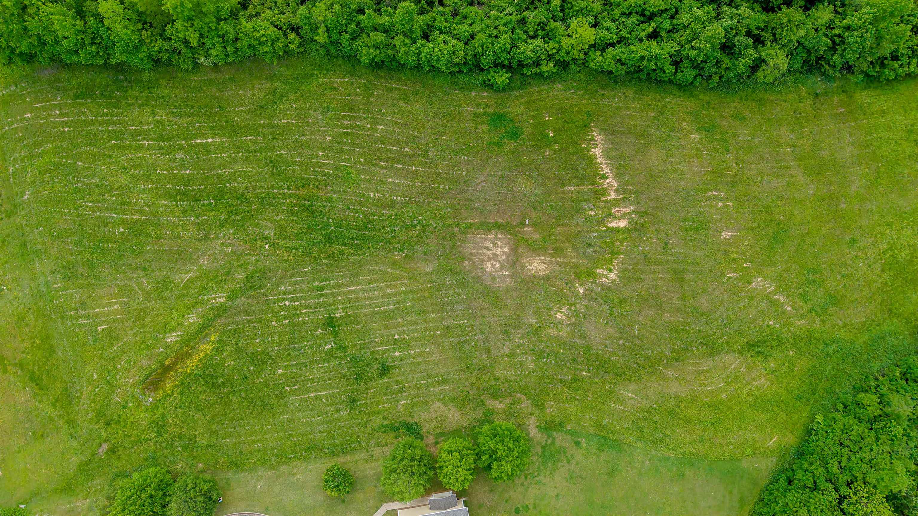 375 Mueller Brass Road Covington, TN 38019 - Photo 6 of 9 a view of lake background