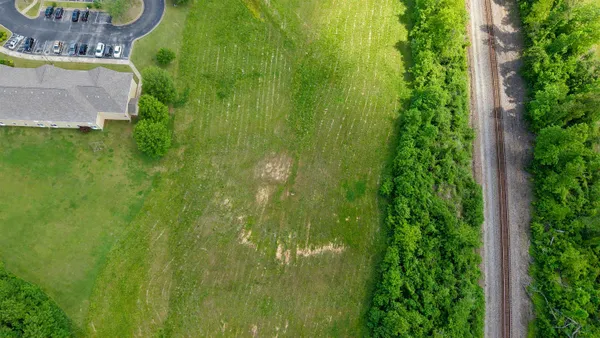 a close up of a plant in a garden
