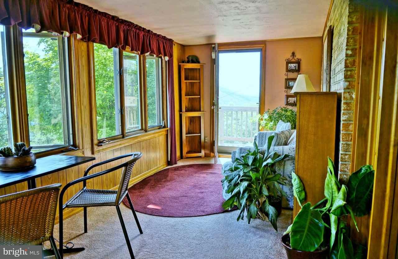 Gallery Image 7