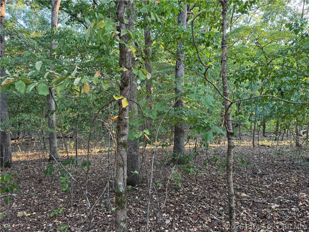 Tbd Point Charles Road Sunrise Beach, MO 65079 - Photo 28 of 65 Gallery Image 28