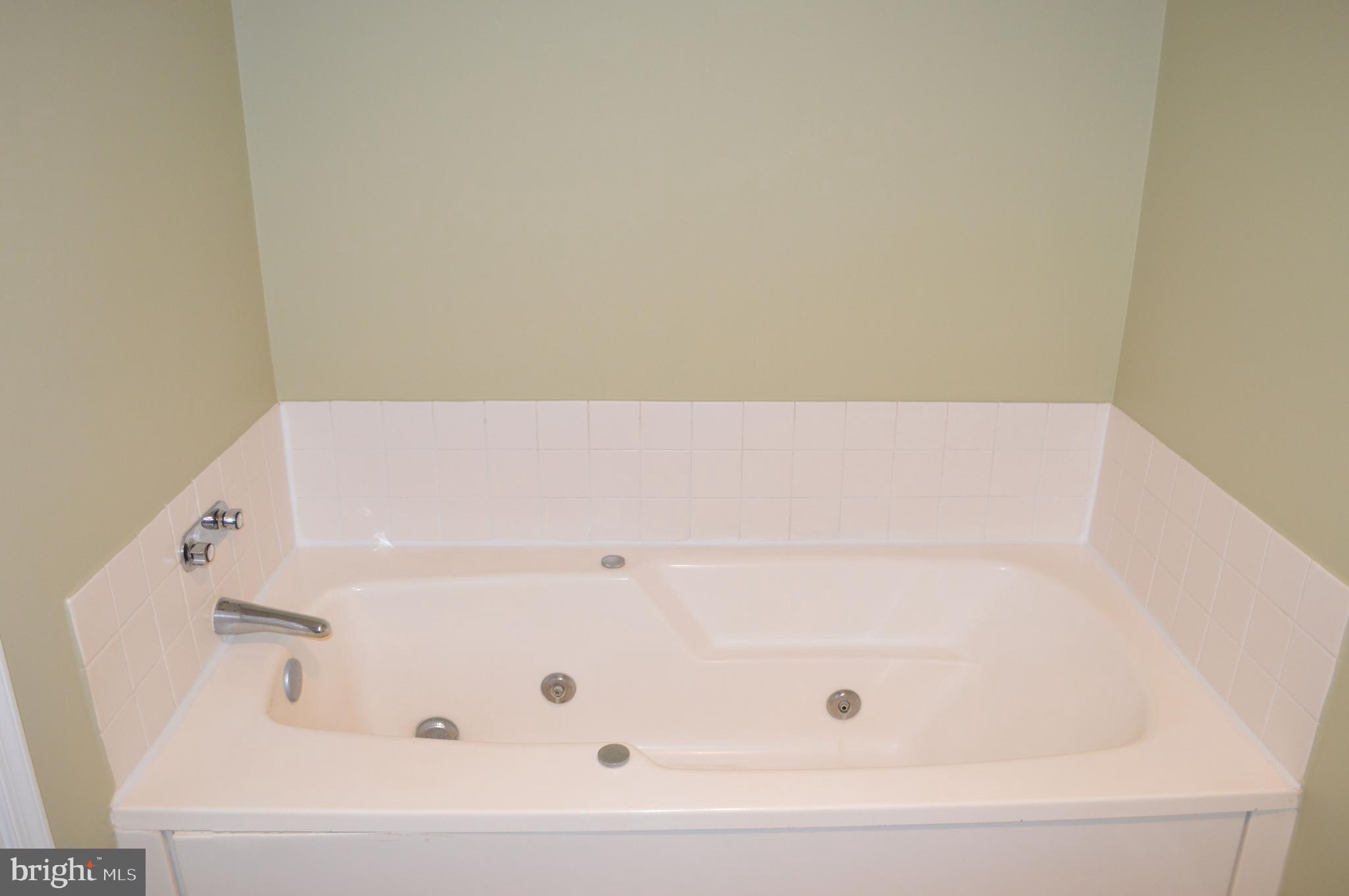 385 Pleasanton Road, Unit B33 Westminster, MD 21157 - Photo 13 of 20 Primary Bath - view 3