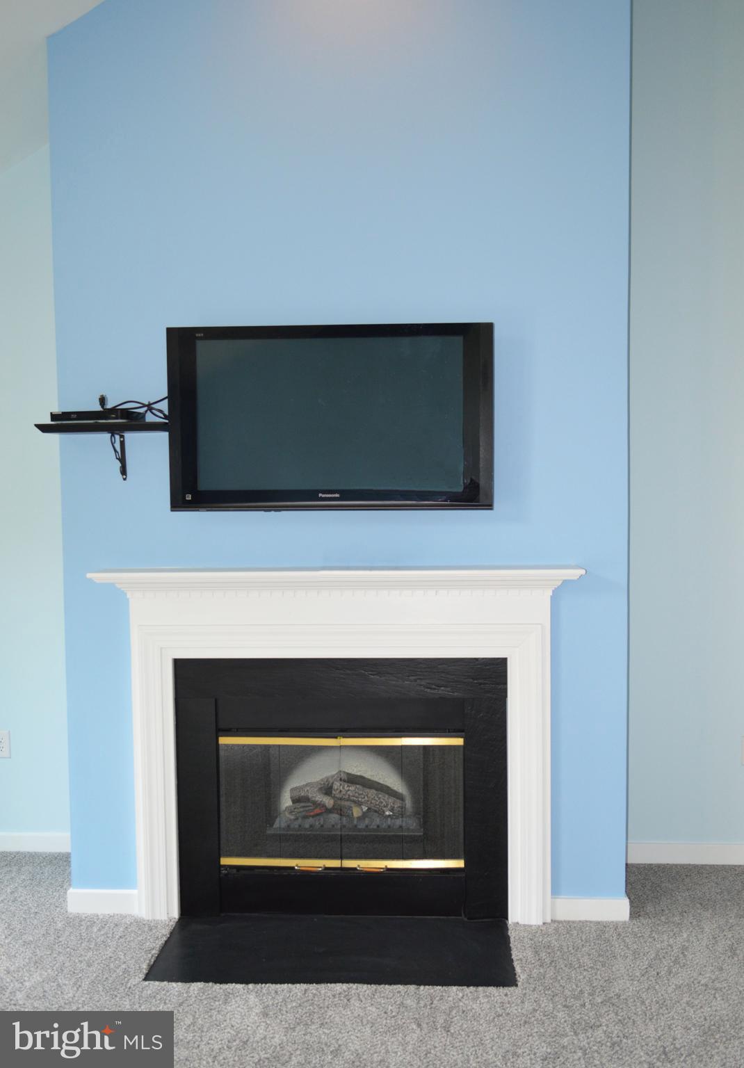 385 Pleasanton Road, Unit B33 Westminster, MD 21157 - Photo 6 of 20 Gas Fireplace