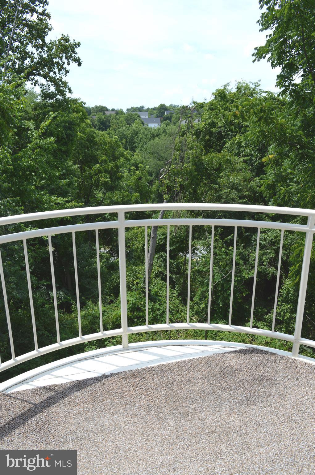385 Pleasanton Road, Unit B33 Westminster, MD 21157 - Photo 8 of 20 Balcony off of Living Room