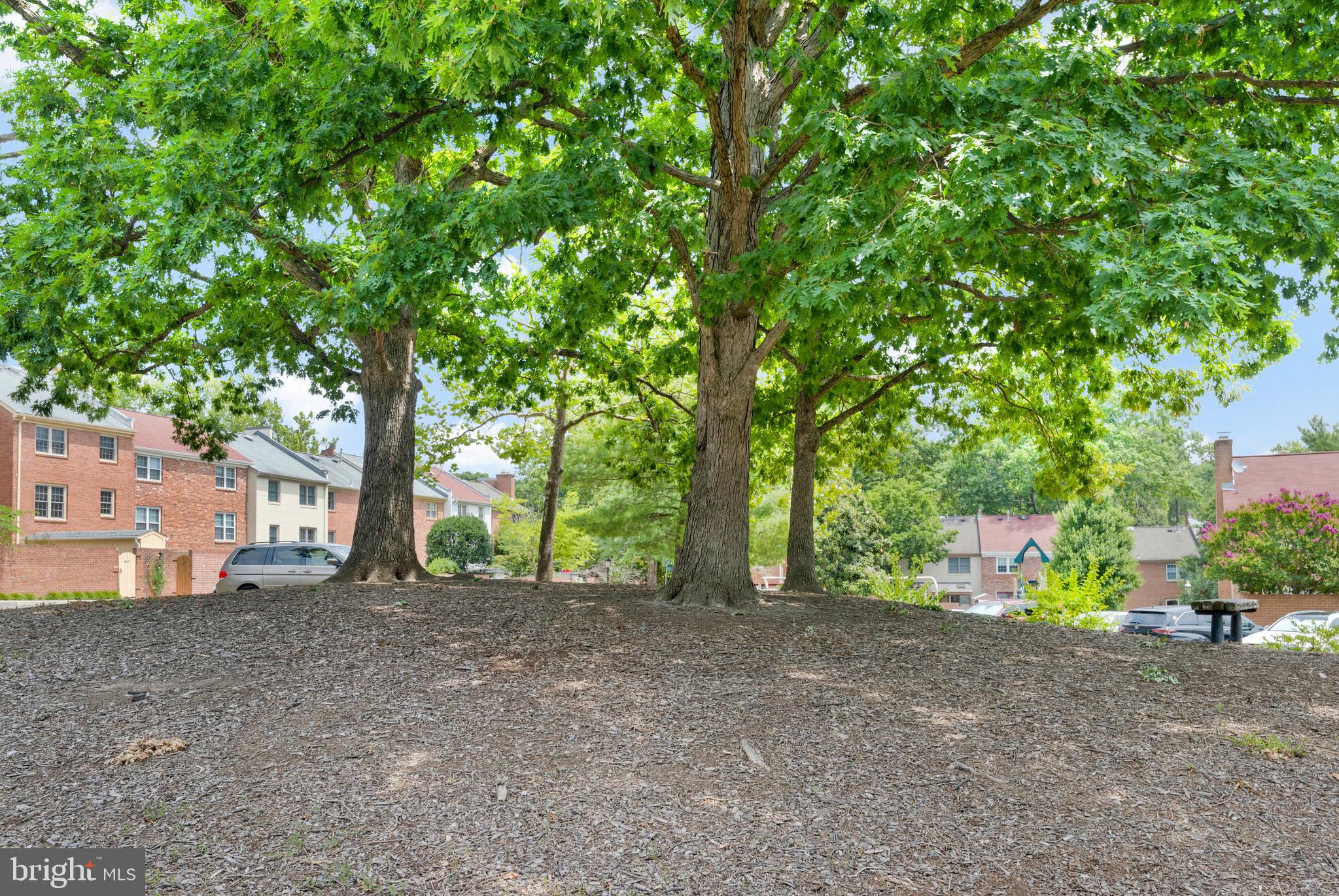 5988 Queenston Street Springfield, VA 22152 - Photo 40 of 50