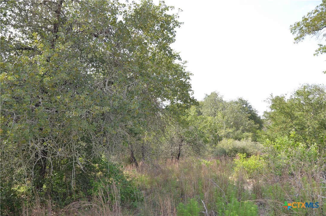 Lot 66 Powder Ridge Luling, TX 78648 - Photo 5 of 14