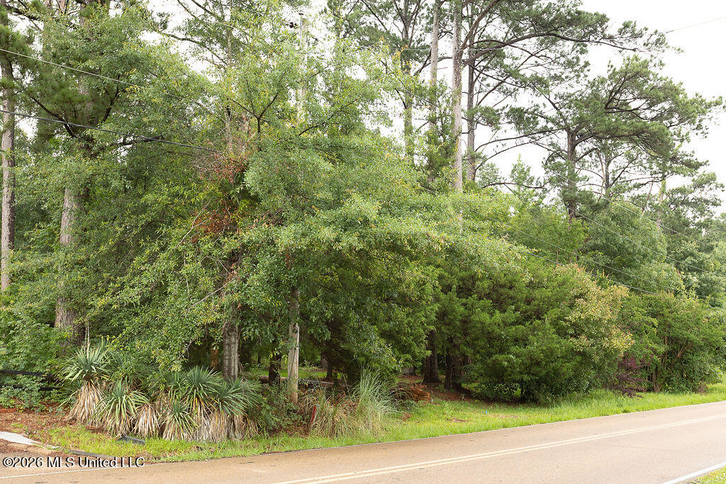 6450 Manship Road Brandon, MS 39047 - Photo 7 of 14 BH26_Manship_01--5