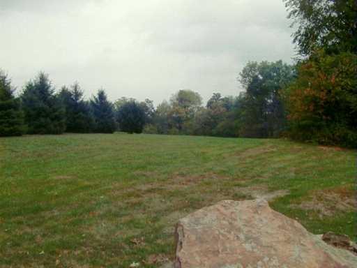 Yard/Garden. 