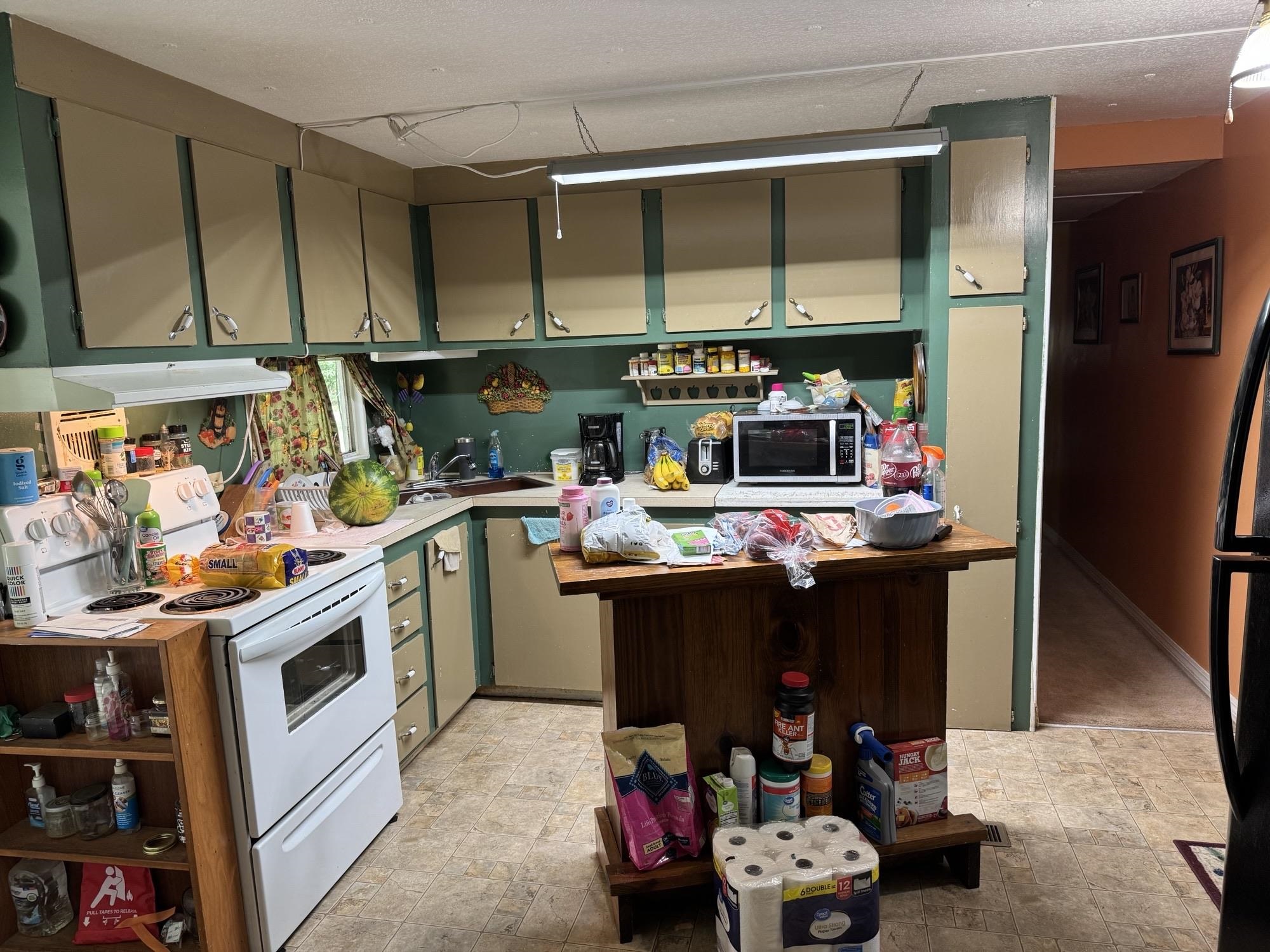 15760 Pine Grove Rd Extension West Bay Minette, AL 36507 - Photo 6 of 22 Kitchen