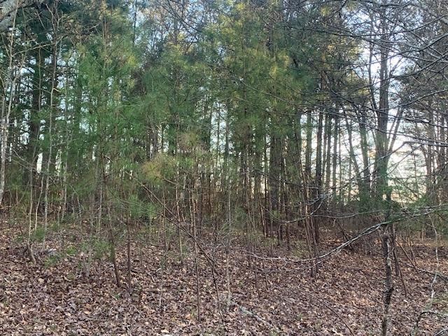 0 West Pond Fork Road Westminster, SC 29693 - Photo 3 of 15 Gallery Image 3