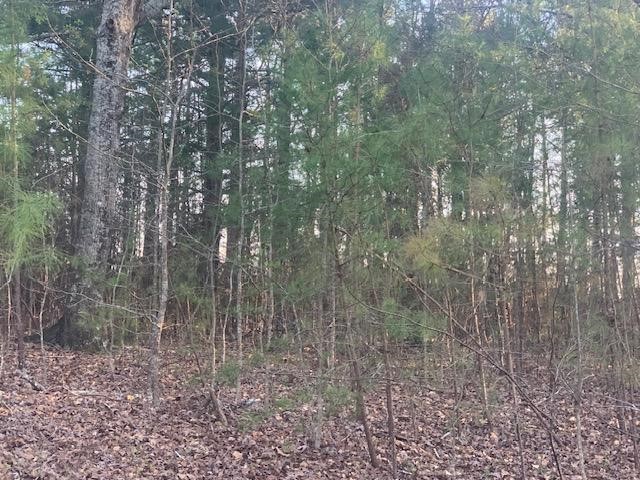 0 West Pond Fork Road Westminster, SC 29693 - Photo 5 of 15 Gallery Image 5