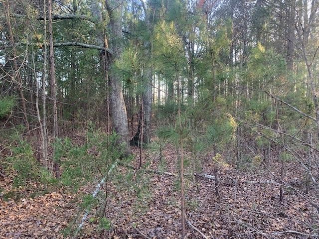 0 West Pond Fork Road Westminster, SC 29693 - Photo 7 of 15 Gallery Image 7