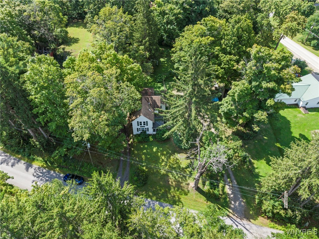 13399 Wales Creek Road Wales, NY 14139 - Photo 41 of 43