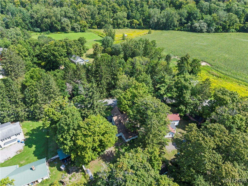 13399 Wales Creek Road Wales, NY 14139 - Photo 43 of 43