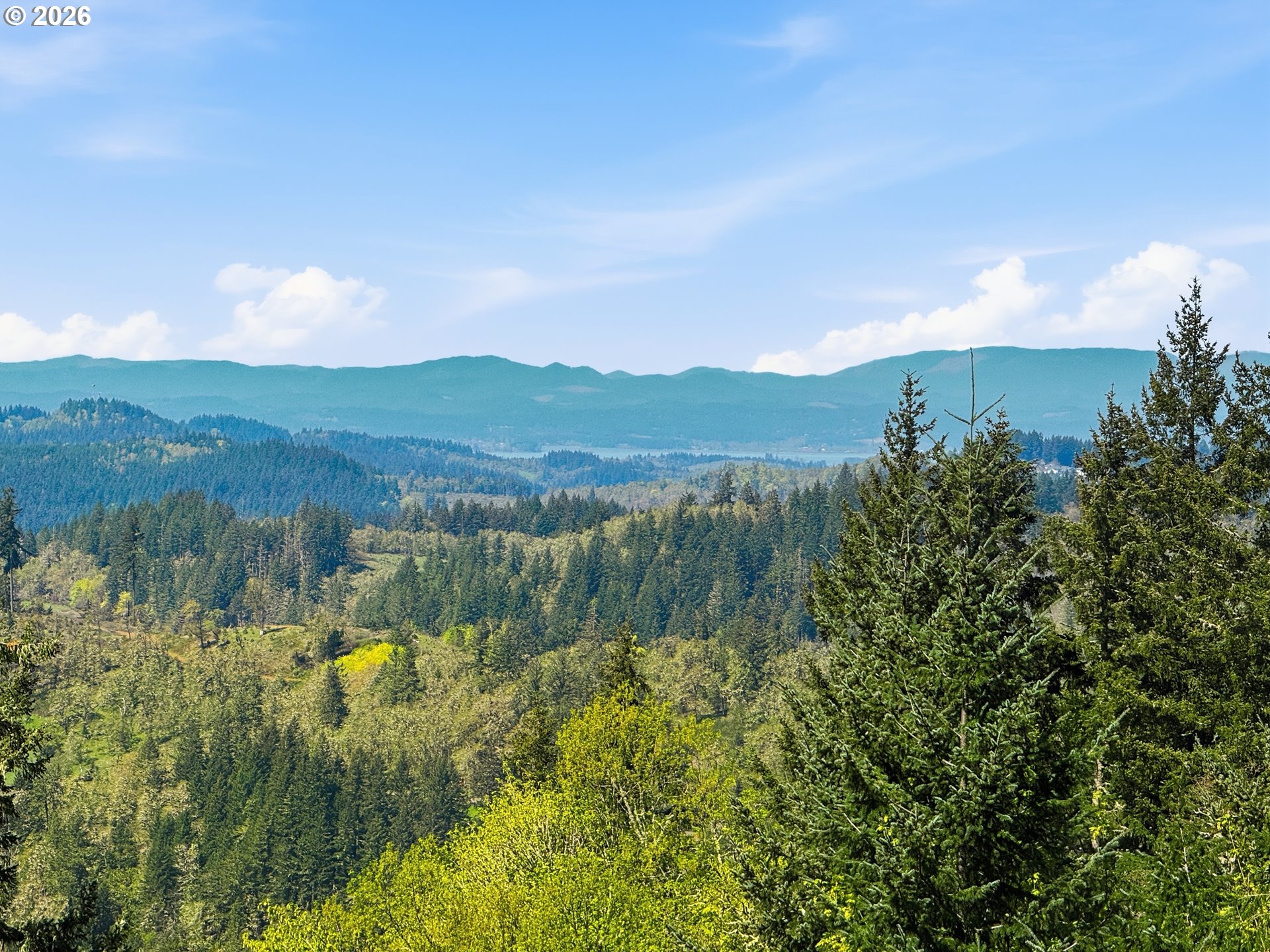 31613 Pruett Road Eugene, OR 97405 - Photo 4 of 40 View