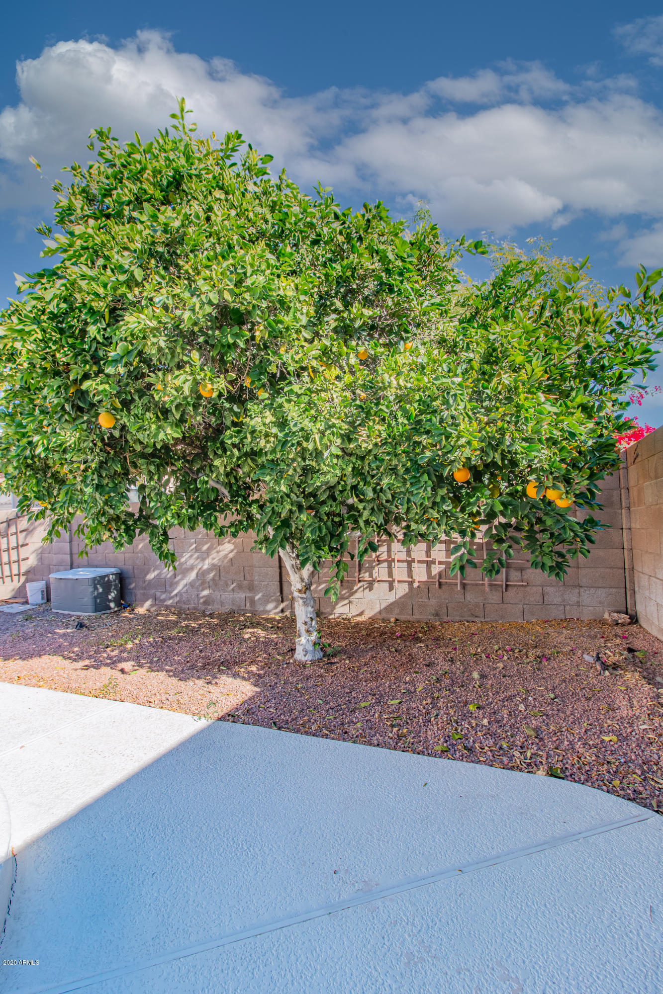 4027 West Charter Oak Road Phoenix, AZ 85029 - Photo 37 of 40 4027 W Charter Oak Rd (33 of 41)