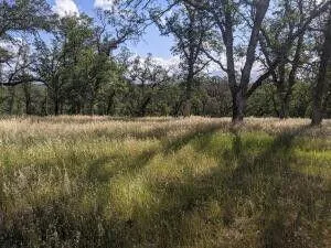 $259,000 | Palo Cedro Drive Drive, Palo Cedro, CA 96073