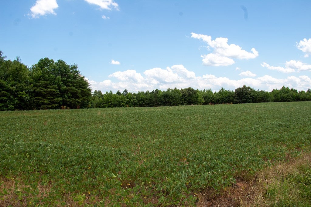 East Elkhorn Road Java, VA 24565 - Photo 11 of 29 Gallery Image 11