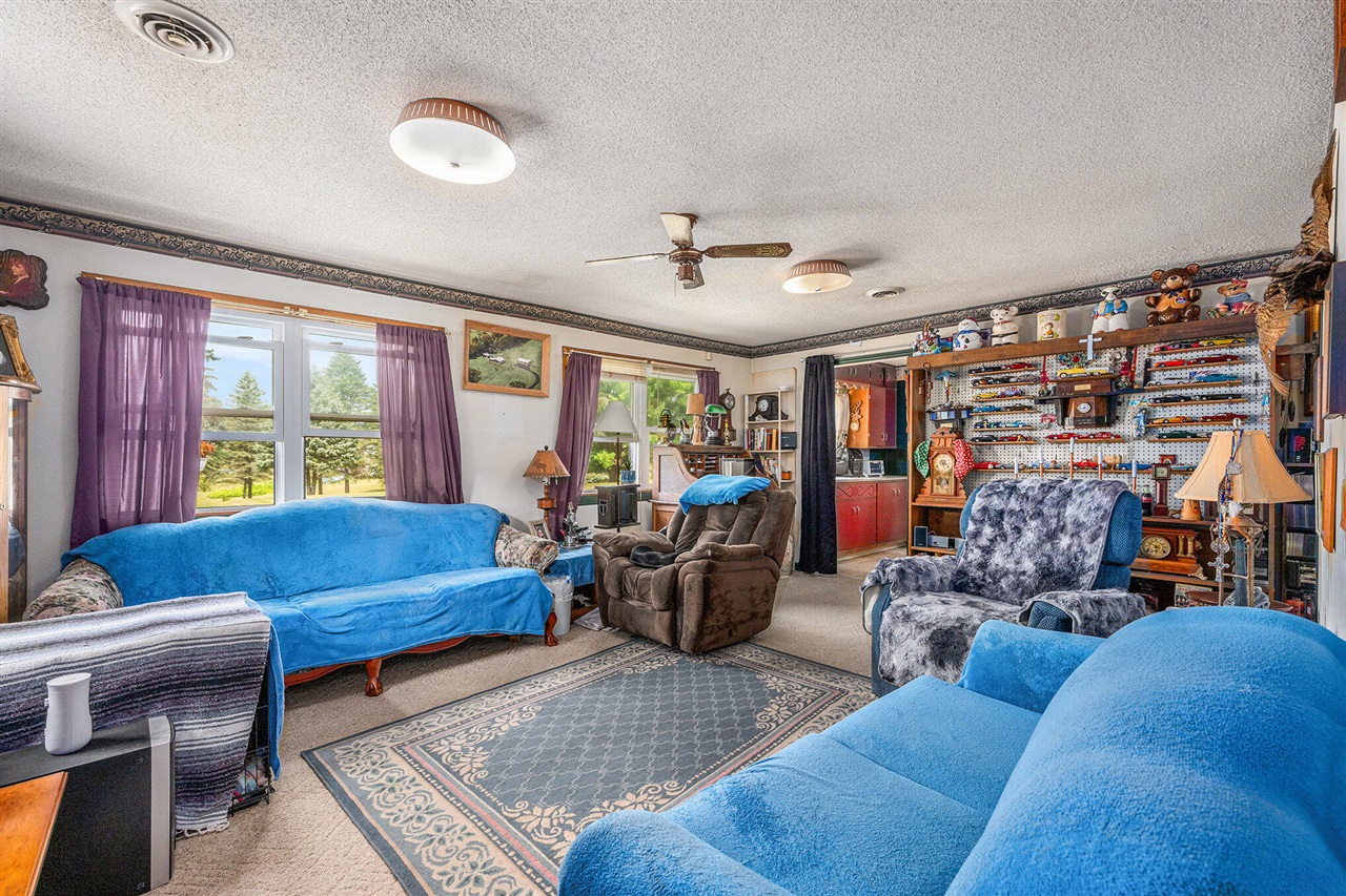 14450 Wing Road Bellevue, MI 49021 - Photo 6 of 21