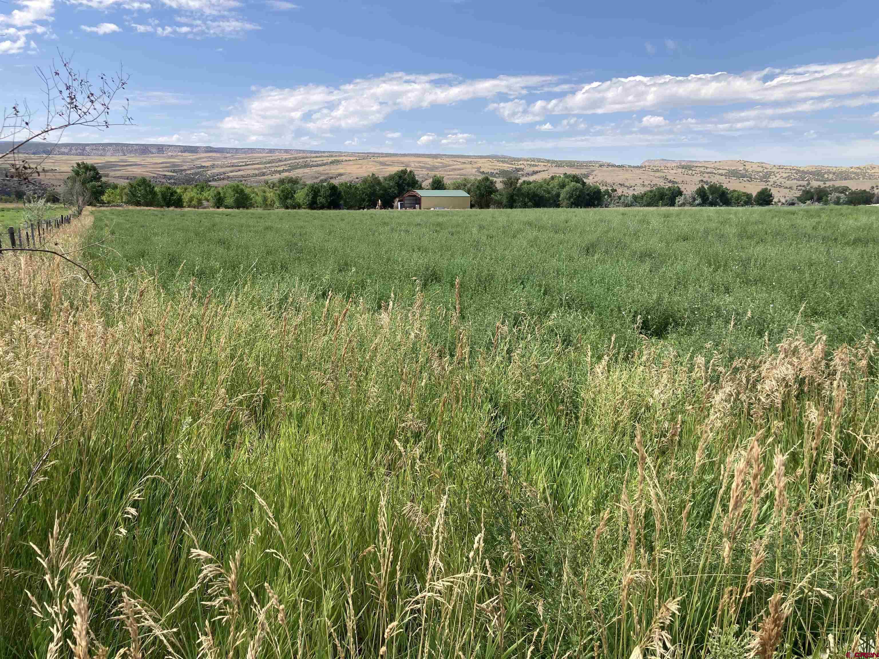 No Address No Address J Road Hotchkiss, CO 81419 - Photo 1 of 17 a view of a lush green outdoor space with a mountain view